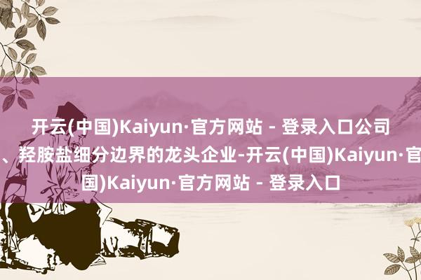 开云(中国)Kaiyun·官方网站 - 登录入口公司为国内硅烷交联剂、羟胺盐细分边界的龙头企业-开云(中国)Kaiyun·官方网站 - 登录入口