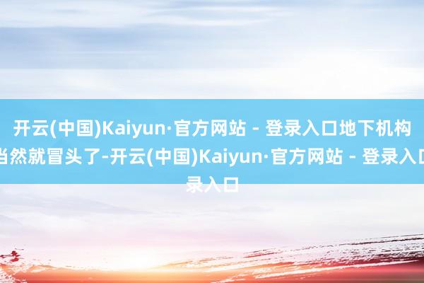 开云(中国)Kaiyun·官方网站 - 登录入口地下机构当然就冒头了-开云(中国)Kaiyun·官方网站 - 登录入口