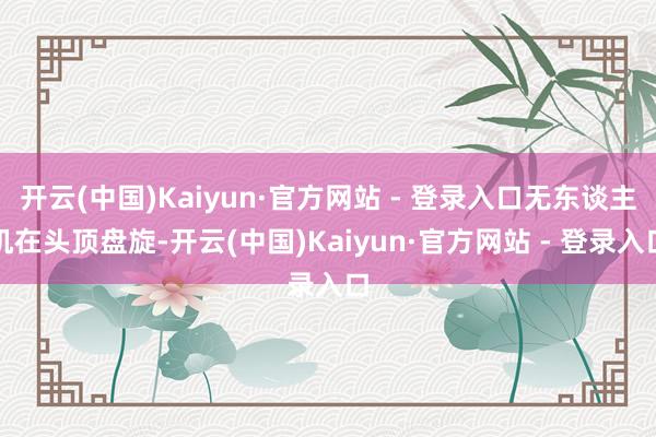 开云(中国)Kaiyun·官方网站 - 登录入口无东谈主机在头顶盘旋-开云(中国)Kaiyun·官方网站 - 登录入口