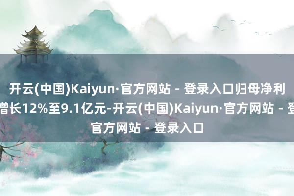 开云(中国)Kaiyun·官方网站 - 登录入口归母净利润同比增长12%至9.1亿元-开云(中国)Kaiyun·官方网站 - 登录入口